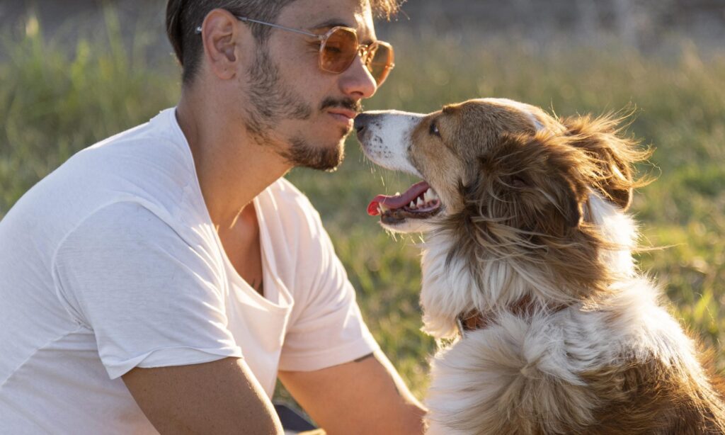 Dog vocalisations – How to understand your pups better