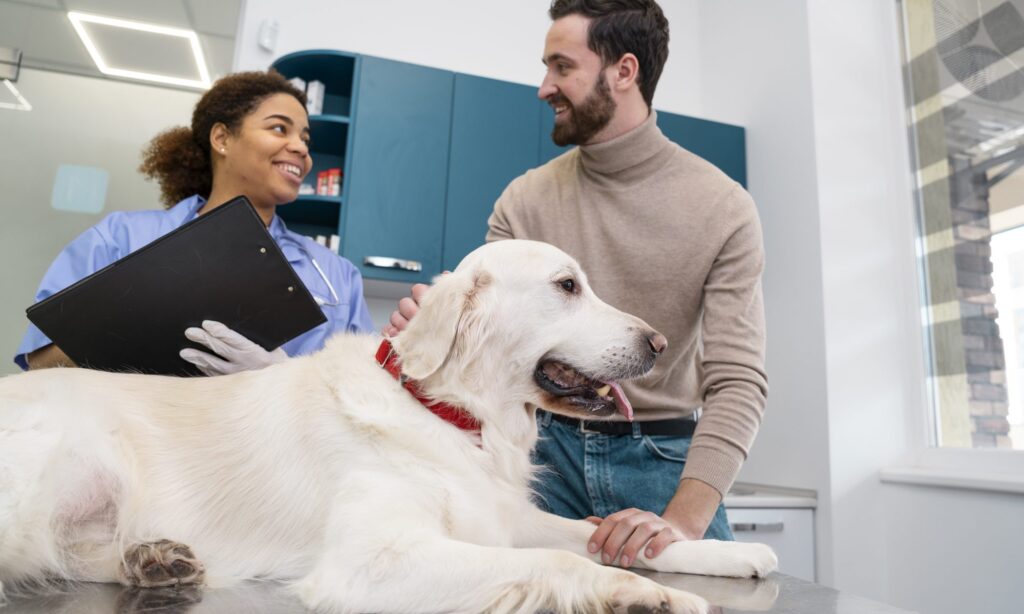 What behaviours can you teach your dog before a vet visit to help them stay calm and relaxed?