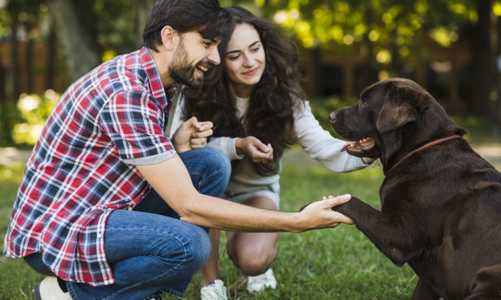 The importance of socialising your dog: A guide to happy canine companions
