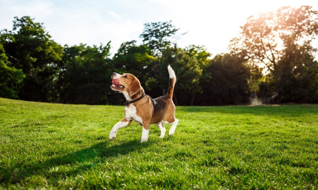 Creating a successful Sniffspace: Best practices for space owners