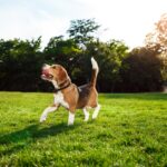 Creating a successful Sniffspace: Best practices for space owners