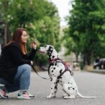 How to make your dog smarter